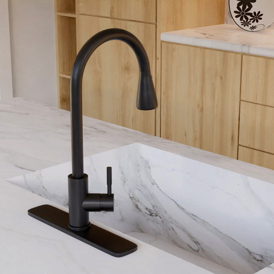 Eurotrend-US ECO Kitchen Faucet - Matte Black - Modern Design, Pull-Down Spray Head, Drinking Water Filter for Kitchen Sink